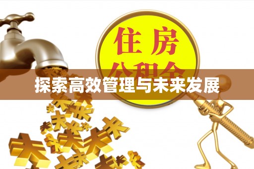 兴平探索高效管理与未来发展