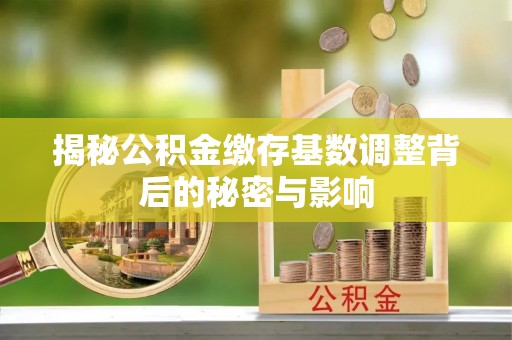 兴平揭秘公积金缴存基数调整背后的秘密与影响